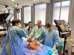 Licence – Master en Télémédecine et Innovation Technologique en Santé